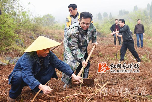 德信在线官网党委书记陈弘与潮水铺村村支书一同种下金槐树苗